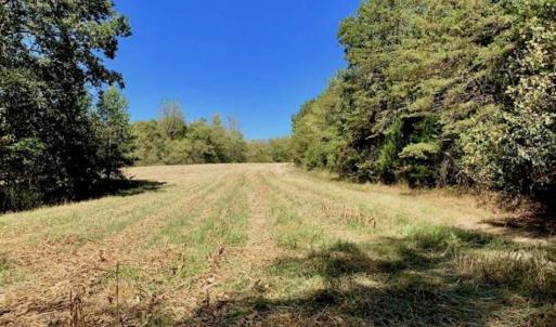 Photo of SOLD!  105 Acres of Timber and Farm Land with Pond For Sale in Caswell County NC!