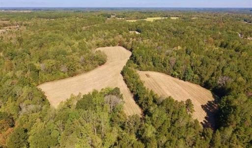 Photo of SOLD!  105 Acres of Timber and Farm Land with Pond For Sale in Caswell County NC!