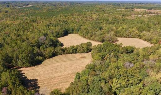 Photo of SOLD!  105 Acres of Timber and Farm Land with Pond For Sale in Caswell County NC!