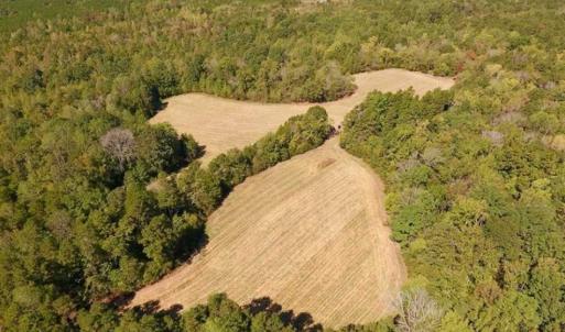 Photo of SOLD!  105 Acres of Timber and Farm Land with Pond For Sale in Caswell County NC!
