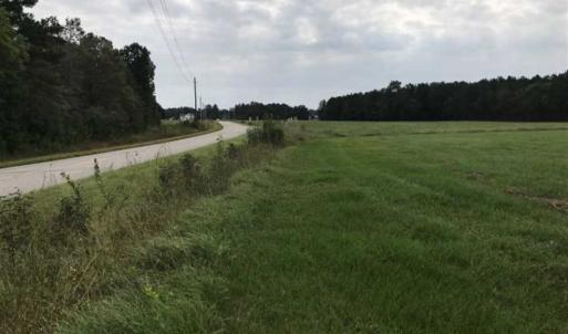 Photo of SOLD! 55 Acres of Farm and Timber Land in Columbus County NC!