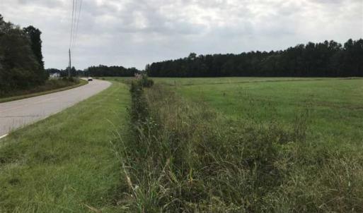 Photo of SOLD! 55 Acres of Farm and Timber Land in Columbus County NC!