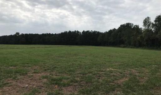 Photo of SOLD! 55 Acres of Farm and Timber Land in Columbus County NC!