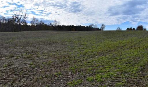 Photo of SOLD!  70 Acres of Hunting Land for Sale in Southampton County, VA