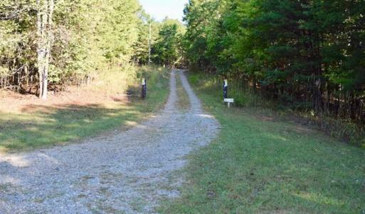 Photo of REDUCED!  193 Acres of Hunting and Recreational Land For Sale in Bedford County VA!