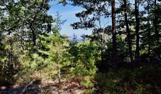 Photo of REDUCED!  193 Acres of Hunting and Recreational Land For Sale in Bedford County VA!