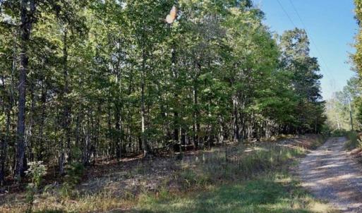 Photo of REDUCED!  193 Acres of Hunting and Recreational Land For Sale in Bedford County VA!