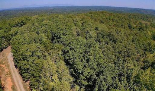 Photo of REDUCED!  193 Acres of Hunting and Recreational Land For Sale in Bedford County VA!