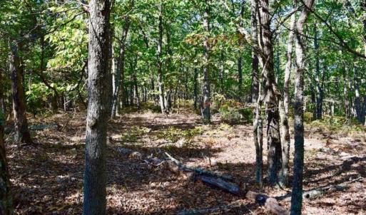 Photo of REDUCED!  193 Acres of Hunting and Recreational Land For Sale in Bedford County VA!