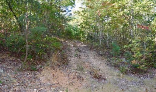 Photo of REDUCED!  193 Acres of Hunting and Recreational Land For Sale in Bedford County VA!