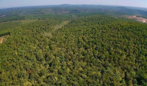 Photo of REDUCED!  193 Acres of Hunting and Recreational Land For Sale in Bedford County VA!
