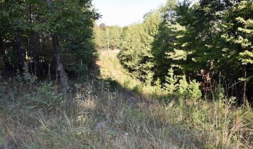 Photo of REDUCED!  193 Acres of Hunting and Recreational Land For Sale in Bedford County VA!