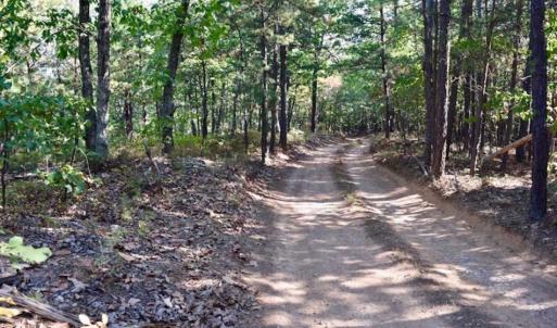Photo of REDUCED!  193 Acres of Hunting and Recreational Land For Sale in Bedford County VA!