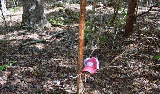 Photo of REDUCED!  193 Acres of Hunting and Recreational Land For Sale in Bedford County VA!