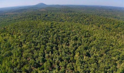 Photo of REDUCED!  193 Acres of Hunting and Recreational Land For Sale in Bedford County VA!