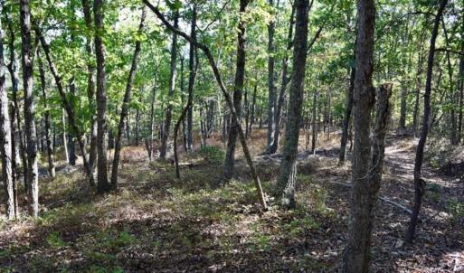 Photo of REDUCED!  193 Acres of Hunting and Recreational Land For Sale in Bedford County VA!