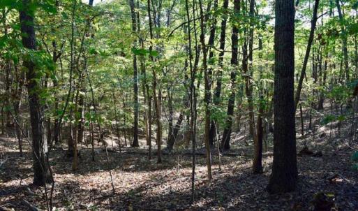 Photo of REDUCED!  193 Acres of Hunting and Recreational Land For Sale in Bedford County VA!