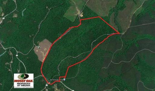 Photo of REDUCED!  193 Acres of Hunting and Recreational Land For Sale in Bedford County VA!