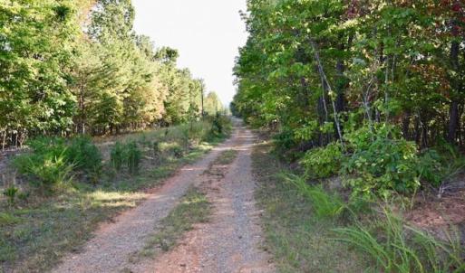 Photo of REDUCED!  193 Acres of Hunting and Recreational Land For Sale in Bedford County VA!