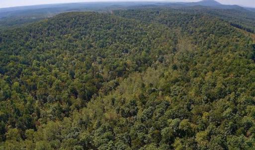 Photo of REDUCED!  193 Acres of Hunting and Recreational Land For Sale in Bedford County VA!