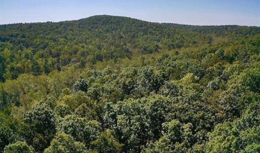 Photo of REDUCED!  193 Acres of Hunting and Recreational Land For Sale in Bedford County VA!