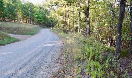 Photo of REDUCED!  193 Acres of Hunting and Recreational Land For Sale in Bedford County VA!