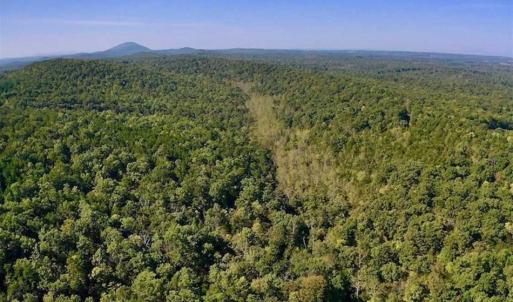 Photo of REDUCED!  193 Acres of Hunting and Recreational Land For Sale in Bedford County VA!