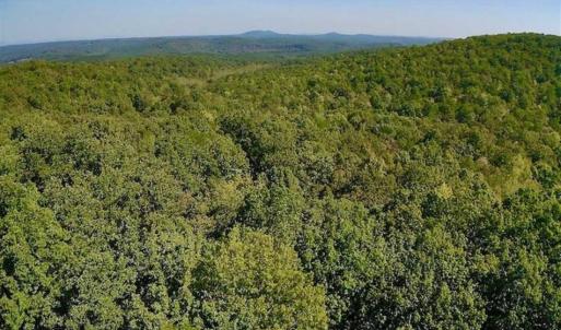 Photo of REDUCED!  193 Acres of Hunting and Recreational Land For Sale in Bedford County VA!