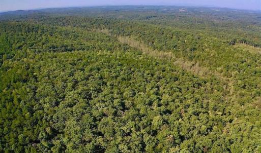 Photo of REDUCED!  193 Acres of Hunting and Recreational Land For Sale in Bedford County VA!