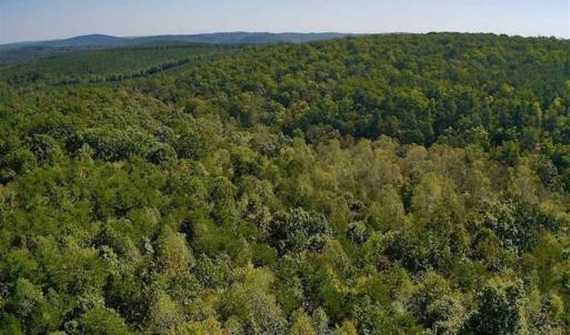 Photo of REDUCED!  193 Acres of Hunting and Recreational Land For Sale in Bedford County VA!