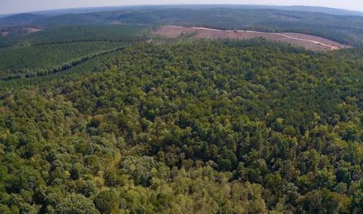 Photo of REDUCED!  193 Acres of Hunting and Recreational Land For Sale in Bedford County VA!