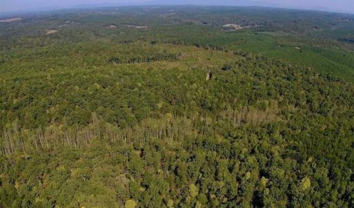 Photo of REDUCED!  193 Acres of Hunting and Recreational Land For Sale in Bedford County VA!