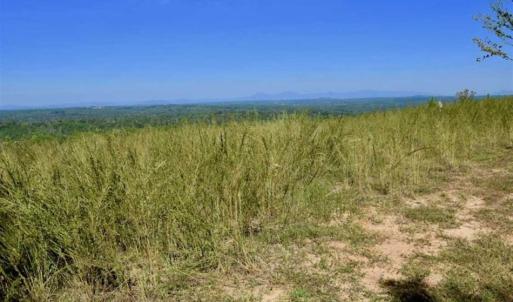 Photo of REDUCED!  193 Acres of Hunting and Recreational Land For Sale in Bedford County VA!