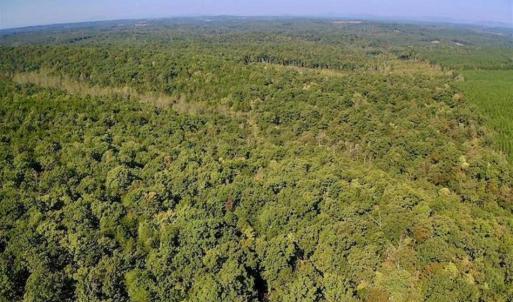 Photo of REDUCED!  193 Acres of Hunting and Recreational Land For Sale in Bedford County VA!