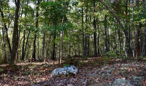 Photo of REDUCED!  193 Acres of Hunting and Recreational Land For Sale in Bedford County VA!