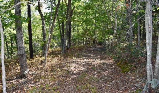 Photo of REDUCED!  193 Acres of Hunting and Recreational Land For Sale in Bedford County VA!