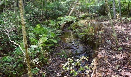 Photo of REDUCED!  193 Acres of Hunting and Recreational Land For Sale in Bedford County VA!
