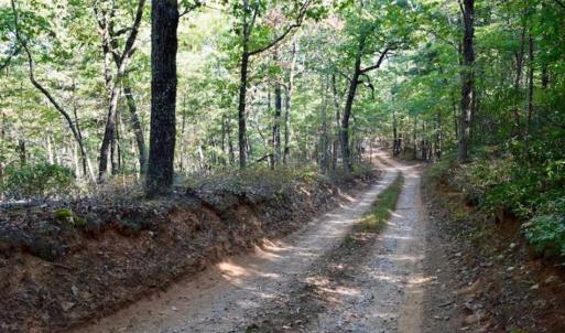 Photo of REDUCED!  193 Acres of Hunting and Recreational Land For Sale in Bedford County VA!