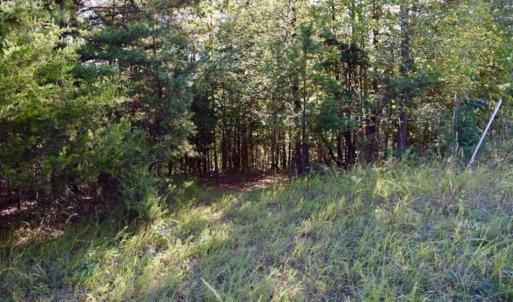 Photo of REDUCED!  193 Acres of Hunting and Recreational Land For Sale in Bedford County VA!