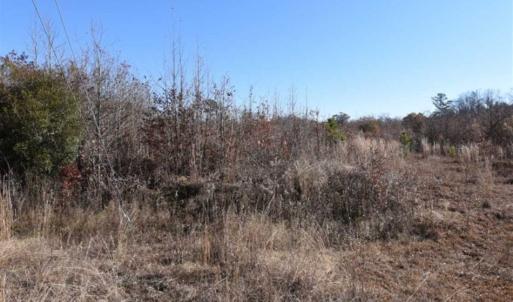 Photo of 93 Acres of Commercial Development and Hunting Land For Sale in Pitt County NC!
