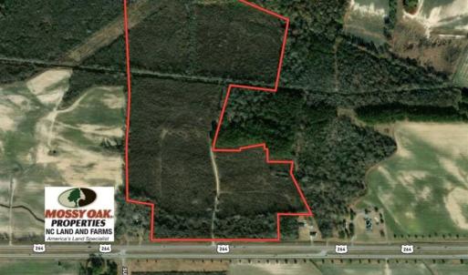 Photo of 93 Acres of Commercial Development and Hunting Land For Sale in Pitt County NC!