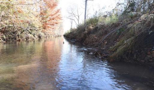 Photo of 93 Acres of Commercial Development and Hunting Land For Sale in Pitt County NC!