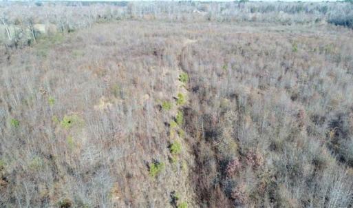 Photo of 93 Acres of Commercial Development and Hunting Land For Sale in Pitt County NC!