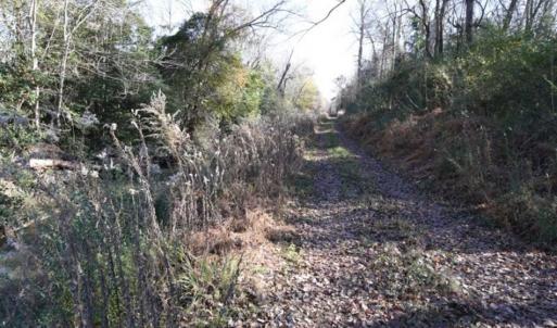 Photo of 93 Acres of Commercial Development and Hunting Land For Sale in Pitt County NC!