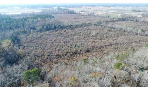 Photo of 93 Acres of Commercial Development and Hunting Land For Sale in Pitt County NC!
