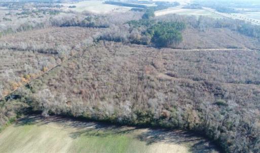 Photo of 93 Acres of Commercial Development and Hunting Land For Sale in Pitt County NC!