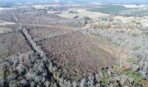 Photo of 93 Acres of Commercial Development and Hunting Land For Sale in Pitt County NC!