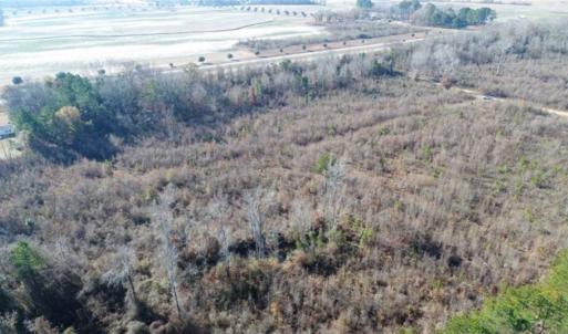 Photo of 93 Acres of Commercial Development and Hunting Land For Sale in Pitt County NC!