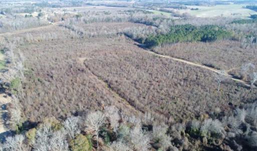Photo of 93 Acres of Commercial Development and Hunting Land For Sale in Pitt County NC!