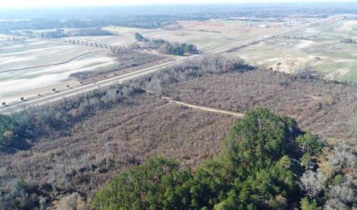 Photo of 93 Acres of Commercial Development and Hunting Land For Sale in Pitt County NC!